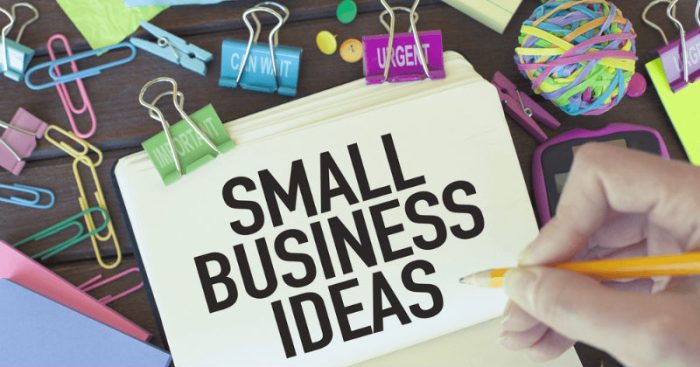 Small Business Ideas